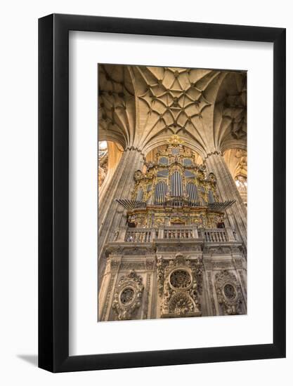 Spain, Salamanca, Cathedral Organ-Jim Engelbrecht-Framed Photographic Print