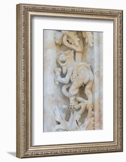 Spain, Salamanca, Cathedral, Relief Sculpture of an Impish Beast-Jim Engelbrecht-Framed Photographic Print