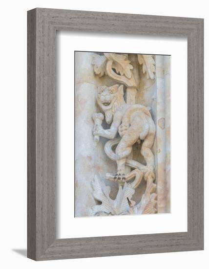 Spain, Salamanca, Cathedral, Relief Sculpture of an Impish Beast-Jim Engelbrecht-Framed Photographic Print