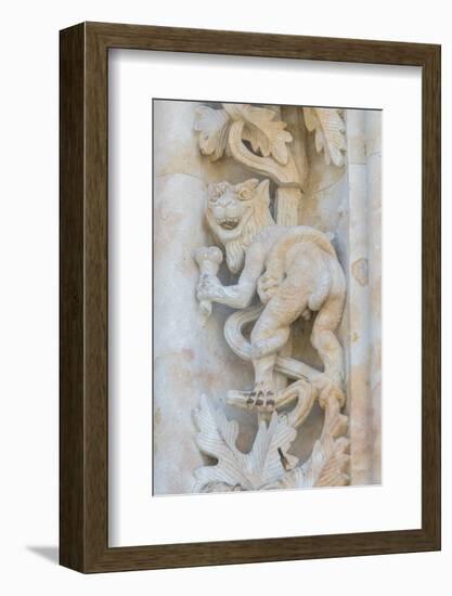 Spain, Salamanca, Cathedral, Relief Sculpture of an Impish Beast-Jim Engelbrecht-Framed Photographic Print