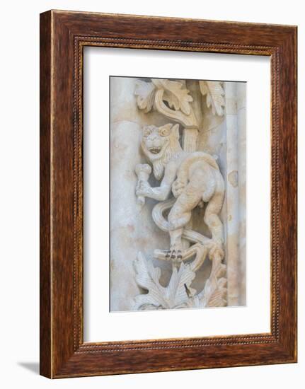 Spain, Salamanca, Cathedral, Relief Sculpture of an Impish Beast-Jim Engelbrecht-Framed Photographic Print