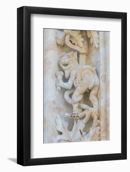 Spain, Salamanca, Cathedral, Relief Sculpture of an Impish Beast-Jim Engelbrecht-Framed Photographic Print