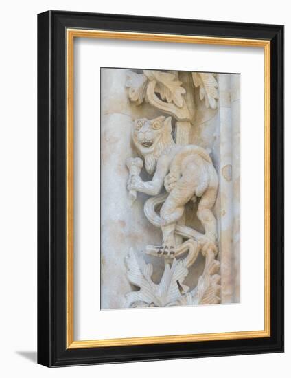 Spain, Salamanca, Cathedral, Relief Sculpture of an Impish Beast-Jim Engelbrecht-Framed Photographic Print