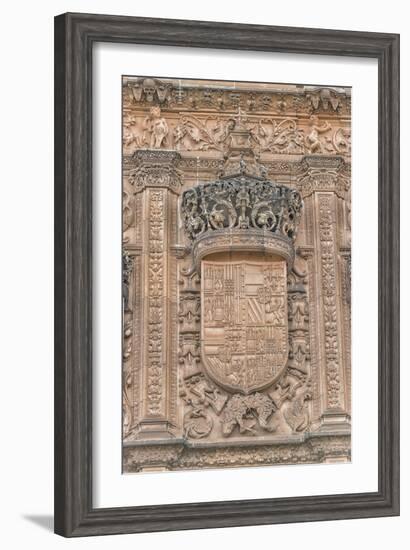 Spain, Salamanca, Detail of Relief Sculpture on Cathedral Exterior-Jim Engelbrecht-Framed Photographic Print