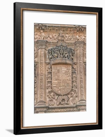 Spain, Salamanca, Detail of Relief Sculpture on Cathedral Exterior-Jim Engelbrecht-Framed Photographic Print