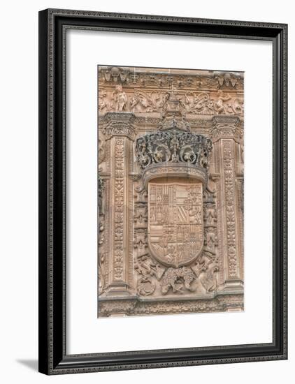 Spain, Salamanca, Detail of Relief Sculpture on Cathedral Exterior-Jim Engelbrecht-Framed Photographic Print