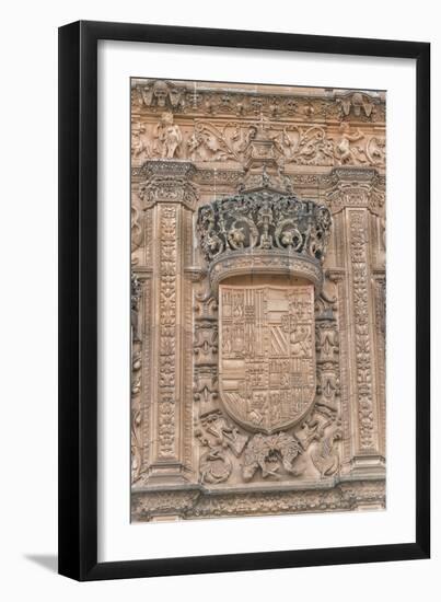 Spain, Salamanca, Detail of Relief Sculpture on Cathedral Exterior-Jim Engelbrecht-Framed Photographic Print