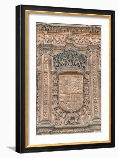 Spain, Salamanca, Detail of Relief Sculpture on Cathedral Exterior-Jim Engelbrecht-Framed Photographic Print