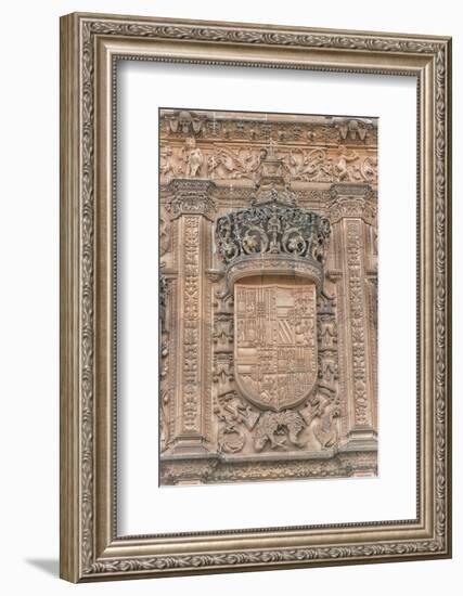 Spain, Salamanca, Detail of Relief Sculpture on Cathedral Exterior-Jim Engelbrecht-Framed Photographic Print