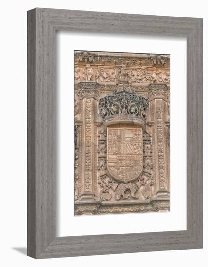 Spain, Salamanca, Detail of Relief Sculpture on Cathedral Exterior-Jim Engelbrecht-Framed Photographic Print