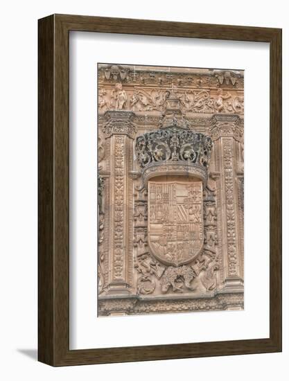 Spain, Salamanca, Detail of Relief Sculpture on Cathedral Exterior-Jim Engelbrecht-Framed Photographic Print