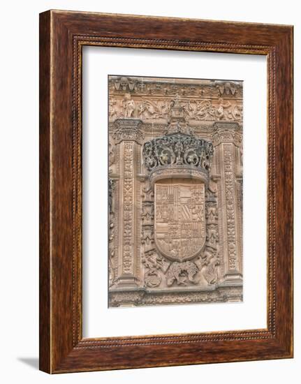 Spain, Salamanca, Detail of Relief Sculpture on Cathedral Exterior-Jim Engelbrecht-Framed Photographic Print