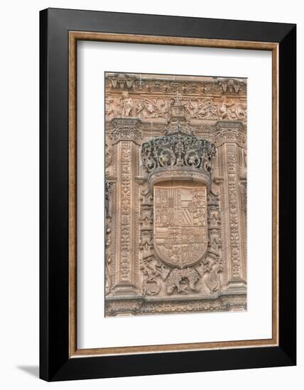 Spain, Salamanca, Detail of Relief Sculpture on Cathedral Exterior-Jim Engelbrecht-Framed Photographic Print