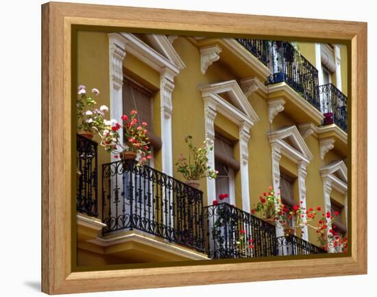 Spain, Sevilla, Andalucia Geraniums hang over iron balconies of traditional houses-Merrill Images-Framed Premier Image Canvas