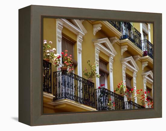 Spain, Sevilla, Andalucia Geraniums hang over iron balconies of traditional houses-Merrill Images-Framed Premier Image Canvas