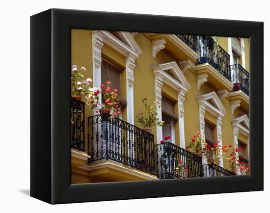 Spain, Sevilla, Andalucia Geraniums hang over iron balconies of traditional houses-Merrill Images-Framed Premier Image Canvas