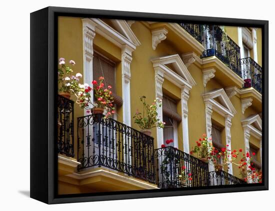 Spain, Sevilla, Andalucia Geraniums hang over iron balconies of traditional houses-Merrill Images-Framed Premier Image Canvas