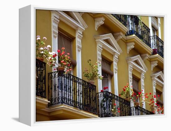 Spain, Sevilla, Andalucia Geraniums hang over iron balconies of traditional houses-Merrill Images-Framed Premier Image Canvas