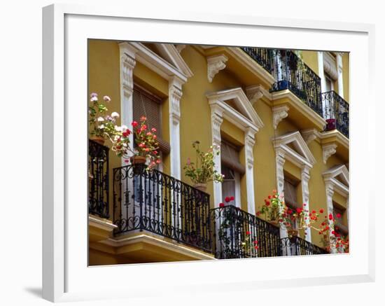 Spain, Sevilla, Andalucia Geraniums hang over iron balconies of traditional houses-Merrill Images-Framed Photographic Print