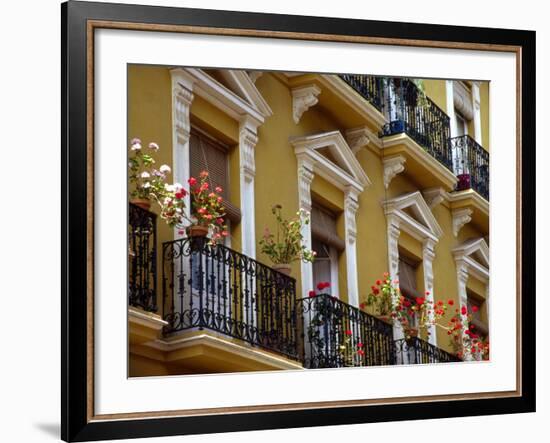 Spain, Sevilla, Andalucia Geraniums hang over iron balconies of traditional houses-Merrill Images-Framed Photographic Print