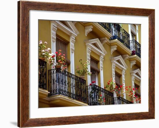 Spain, Sevilla, Andalucia Geraniums hang over iron balconies of traditional houses-Merrill Images-Framed Photographic Print