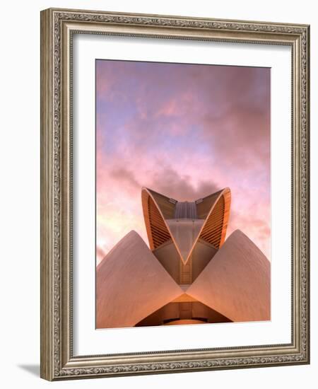 Spain, Valencia, City of Arts and Sciences Building, Palace of Arts-Michele Falzone-Framed Photographic Print