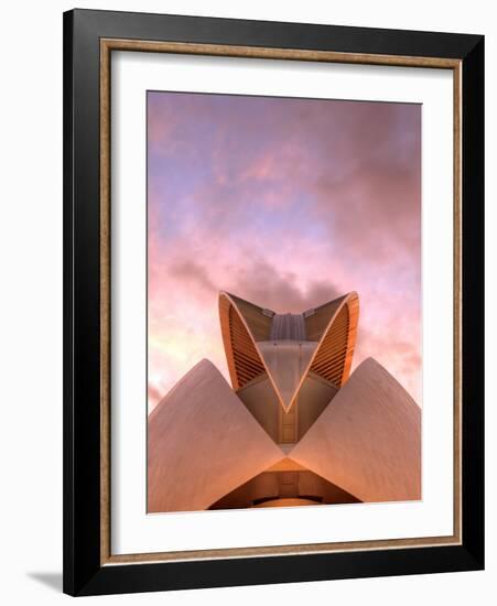 Spain, Valencia, City of Arts and Sciences Building, Palace of Arts-Michele Falzone-Framed Photographic Print