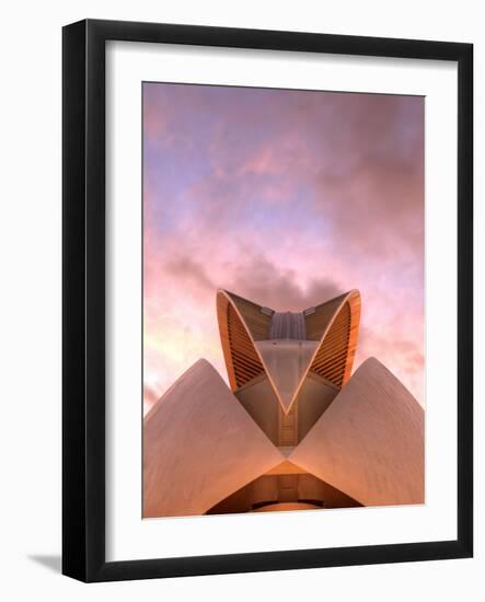 Spain, Valencia, City of Arts and Sciences Building, Palace of Arts-Michele Falzone-Framed Photographic Print