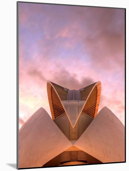 Spain, Valencia, City of Arts and Sciences Building, Palace of Arts-Michele Falzone-Mounted Photographic Print