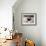 Spain-null-Framed Photographic Print displayed on a wall