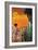 Spain-David Klein-Framed Art Print