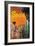 Spain-David Klein-Framed Art Print