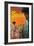 Spain-David Klein-Framed Art Print