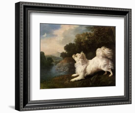 Spaniel Belonging to Painter Cosway Chasing a Butterfly, 1775 (Oil on Canvas)-George Stubbs-Framed Giclee Print