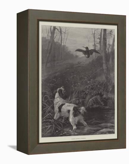 Spaniel Flushing a Woodcock-null-Framed Premier Image Canvas