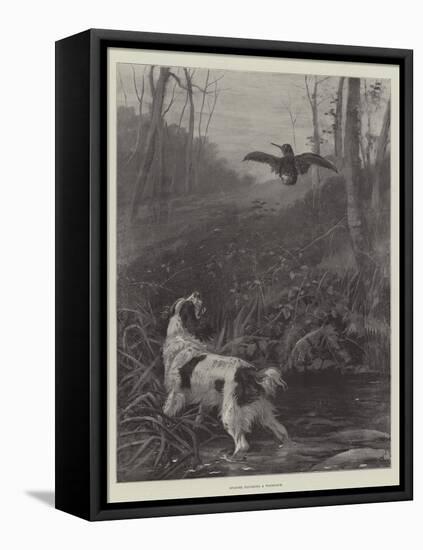 Spaniel Flushing a Woodcock-null-Framed Premier Image Canvas