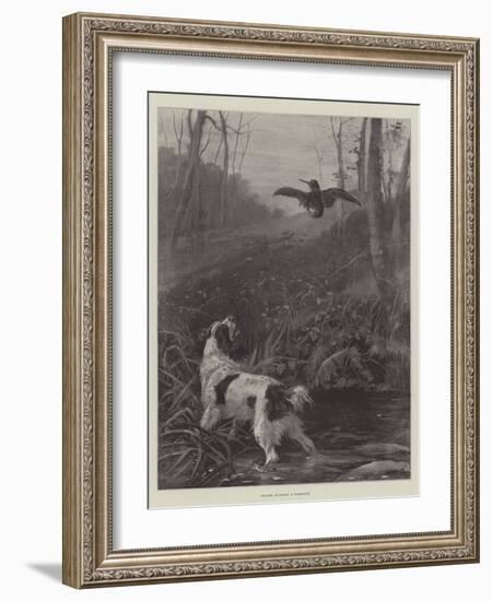 Spaniel Flushing a Woodcock-null-Framed Giclee Print