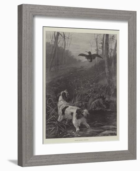 Spaniel Flushing a Woodcock-null-Framed Giclee Print