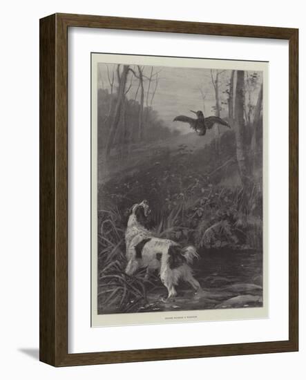 Spaniel Flushing a Woodcock-null-Framed Giclee Print