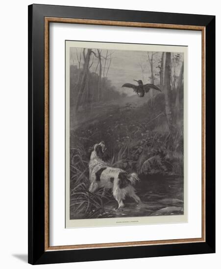 Spaniel Flushing a Woodcock-null-Framed Giclee Print