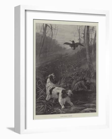 Spaniel Flushing a Woodcock-null-Framed Giclee Print