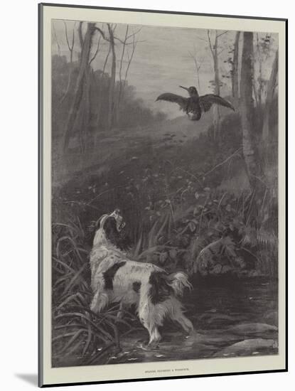 Spaniel Flushing a Woodcock-null-Mounted Giclee Print