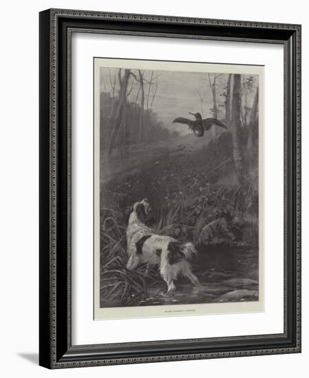 Spaniel Flushing a Woodcock-null-Framed Giclee Print