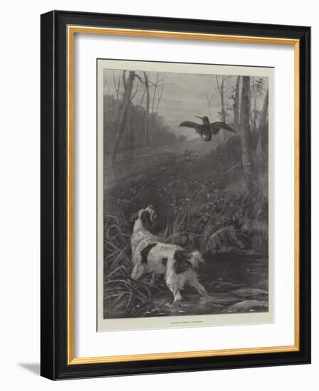 Spaniel Flushing a Woodcock-null-Framed Giclee Print