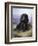 Spaniel in the Highlands-Lilian Cheviot-Framed Giclee Print