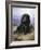 Spaniel in the Highlands-Lilian Cheviot-Framed Giclee Print