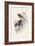 Spaniel-Harrison Fisher-Framed Art Print