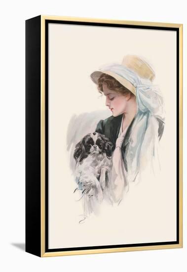 Spaniel-Harrison Fisher-Framed Stretched Canvas