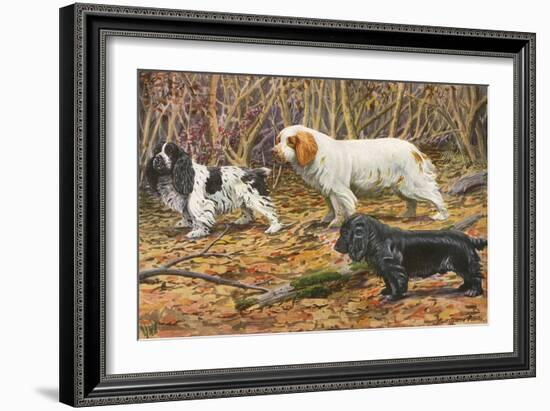 Spaniels (Puertes)-Louis Agassiz Fuertes-Framed Art Print