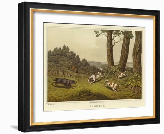 Spaniels-Henry Thomas Alken-Framed Giclee Print